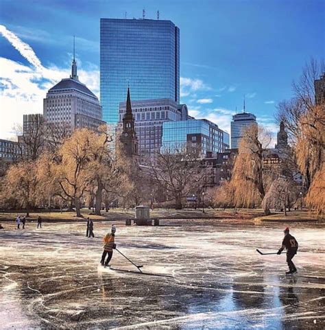 Boston Public Garden | BosGuy