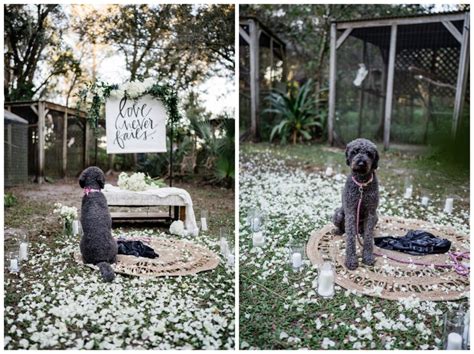 Bird Garden of Naples Proposal {Charlotte & Brian}