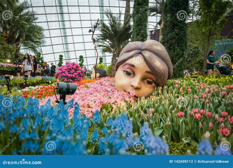 Flower Dome at Garden by the Bay, Singapore. Editorial Photography - Image of display ...