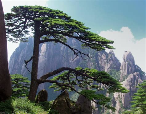 Huangshan Mountain Range - Mountain Field Guide