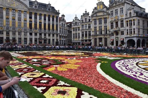 Viewing The Flower Carpet In Brussels - Wambui's Diaries