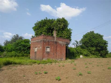 The Gardens Of Sigiriya Stock Photos, Pictures & Royalty-Free Images ...