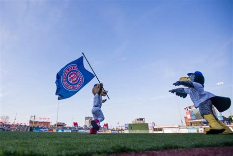 Gallery: South Bend Cubs mascot 'Swoop' through the years