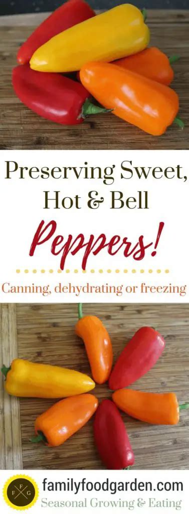 Canning Peppers | Family Food Garden