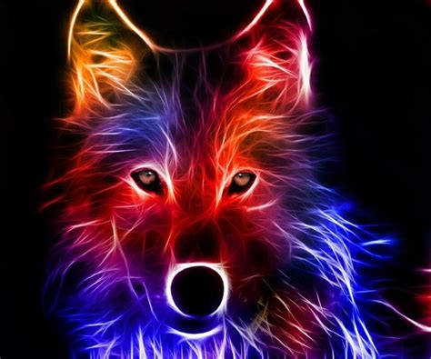 Fire Fox | Wolf wallpaper, Abstract wolf, Wolf pictures