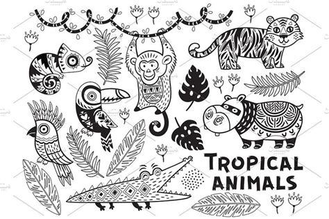 Tropical animals | Coloring pages nature, Coloring pages, Animal ...