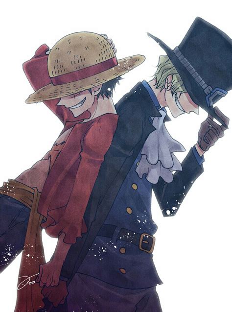 Luffy and Sabo | Manga anime one piece, One piece pictures, One piece comic