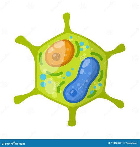 Green Cell of the Plant. Element of Science and Biology. Cartoon Flat ...