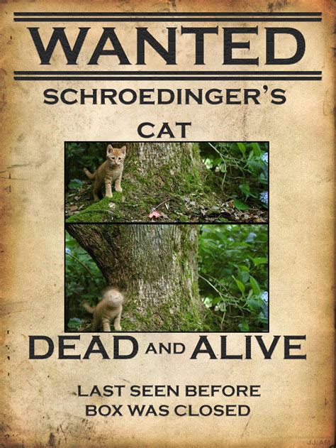 [Image - 346648] | Schrodinger's Cat | Know Your Meme