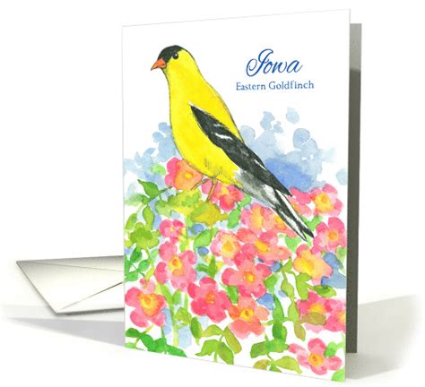 State Bird of Iowa Eastern Goldfinch Prairie Rose Flower... (1516376)