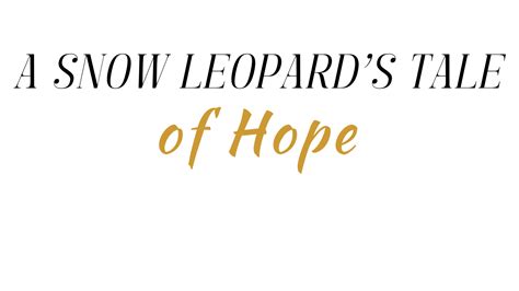 Tale of Hope - Campaign