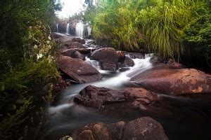 A Quick Weekend in Tasmania | Alex Wise Photography