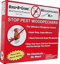 Amazon.com: woodpecker repellent spray