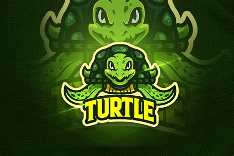 Turtle Academy Logo