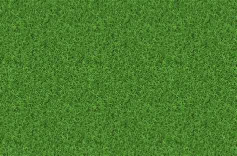 generated grass texture or green lawn background - The Loring Greenough ...