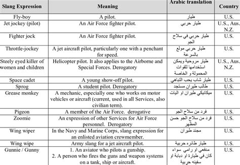 Examples of Air Force Personnel military slang expressions | Download Table