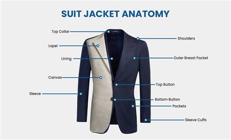 The Anatomy of the Suit Jacket Guide - Suits Expert