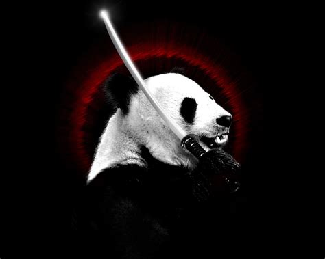 ninja panda wallpaper by hugosilva on DeviantArt