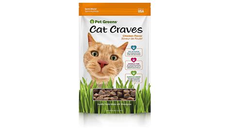 Best kitten treats: Reward your young feline in style | PetsRadar