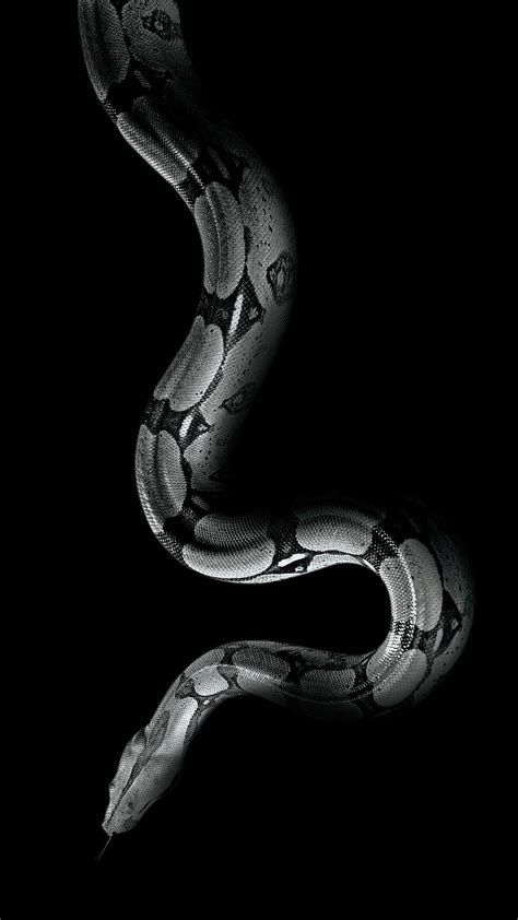 Top 56+ aesthetic snake wallpaper - in.cdgdbentre