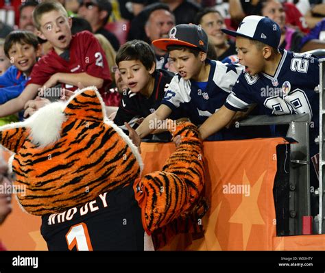 Young fans get the attention of the Cincinnati Bengals mascot Who Dey ...