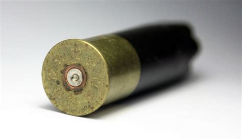 Empty shotgun bullet shell Free Photo Download | FreeImages