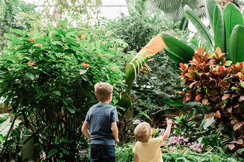 Meijer Gardens' 25th Annual Butterfly Exhibition Explores an Era of Discovery and Highlights the ...