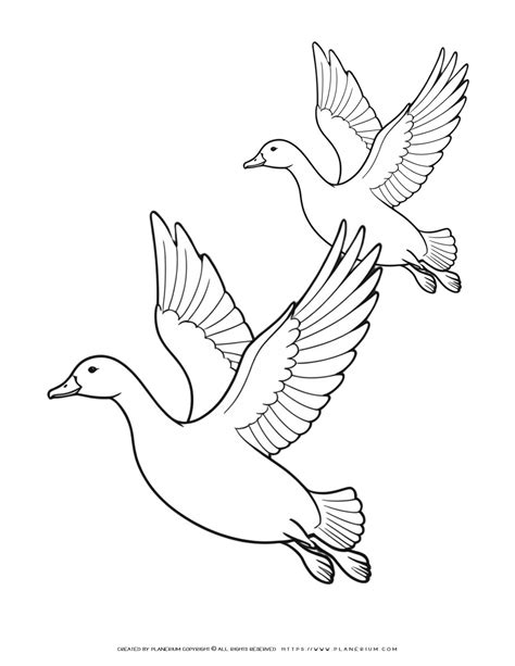 Stunning Coloring Page Featuring Two Flying Geese to Unwind and Inspire Creativity
