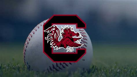 South Carolina baseball team defeats Charleston Southern, 10-4