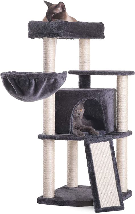 The Best Cat Trees With Hammock Baskets | Pet Care Advisors