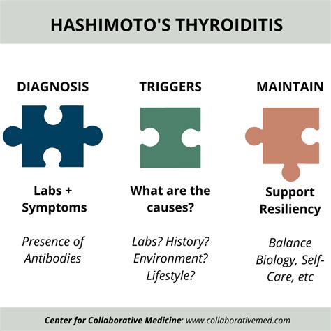 Hashimoto's Thyroiditis Part 1: Testing and Diagnosis - Center for ...