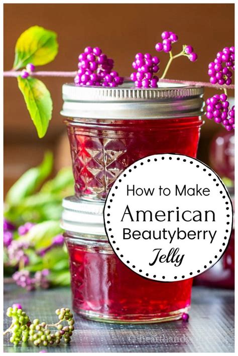 Beautyberry Jelly: A Welcome Tasty Homemade Gift | Gifts