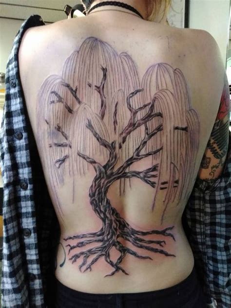 15 Best willow tree tattoo designs