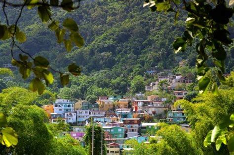 El Cerro, Naranjito Beautiful Islands, Beautiful Places, Puerto Rico Island, Puerto Rican Pride ...