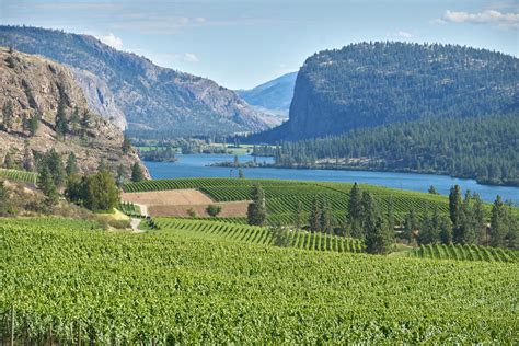 The Okanagan Valley: | The Grapevine Magazine