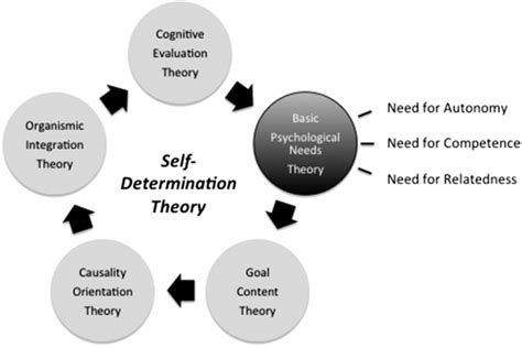 Overview of Self-Determination Theory (SDT): The Five Mini-Theories. | Download Scientific Diagram