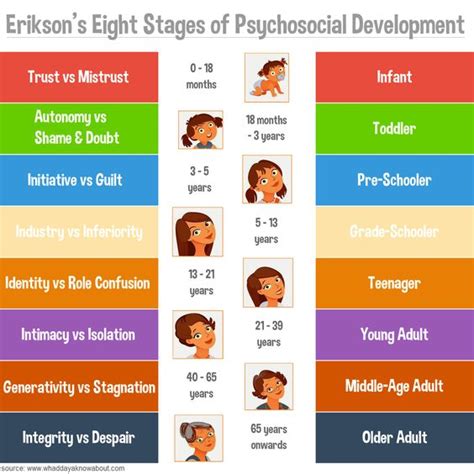 Erikson S Stages Of Psychosocial Development - Riset