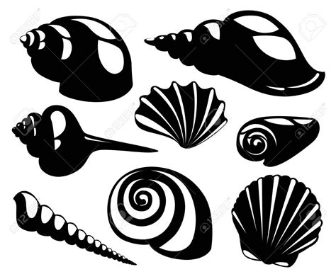 seashell silhouette clip art 10 free Cliparts | Download images on Clipground 2024