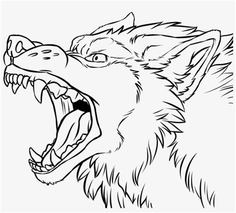 Angry Wolf Face At - Wolf Growling Line Art PNG Image | Transparent PNG ...