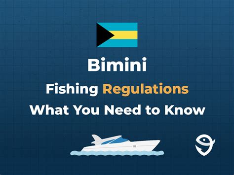 Fishing in BIMINI: The Complete Guide