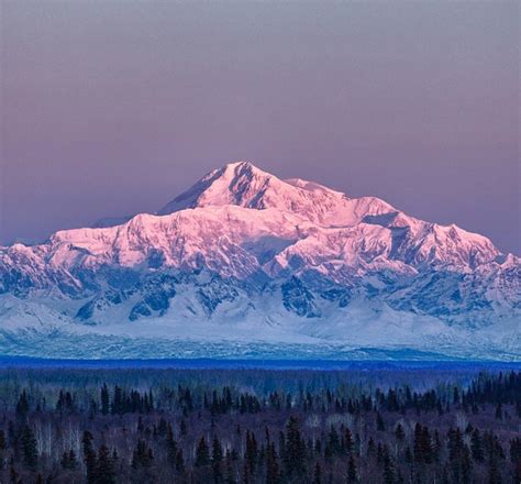 Winter at Talkeetna Alaskan Lodge | Denali & Northern Lights Views