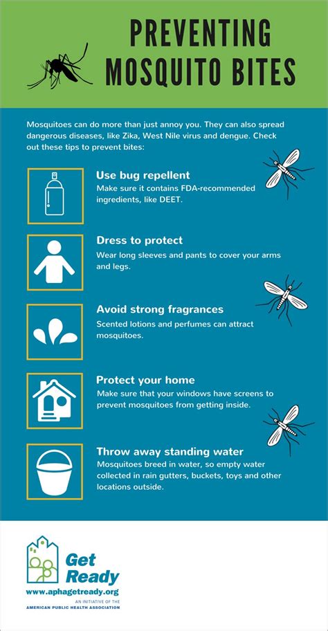 Preventing mosquito bites infographic Infographics | Medicpresents.com