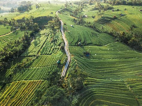 Aerial view of road crossing rice fields in Penebel during sunset, Bali ...