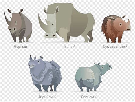 Unicorn, Javan Rhinoceros, Indian Rhinoceros, Western Black Rhinoceros, Save The Rhino, Horn ...