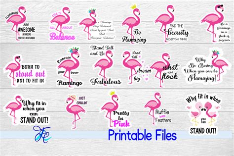 Flamingo Stickers By Family Creations | TheHungryJPEG