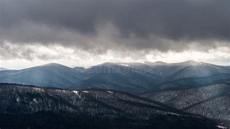 Snow-covered Forest in the Mountains, Bieszczady Mountains, Poland ...