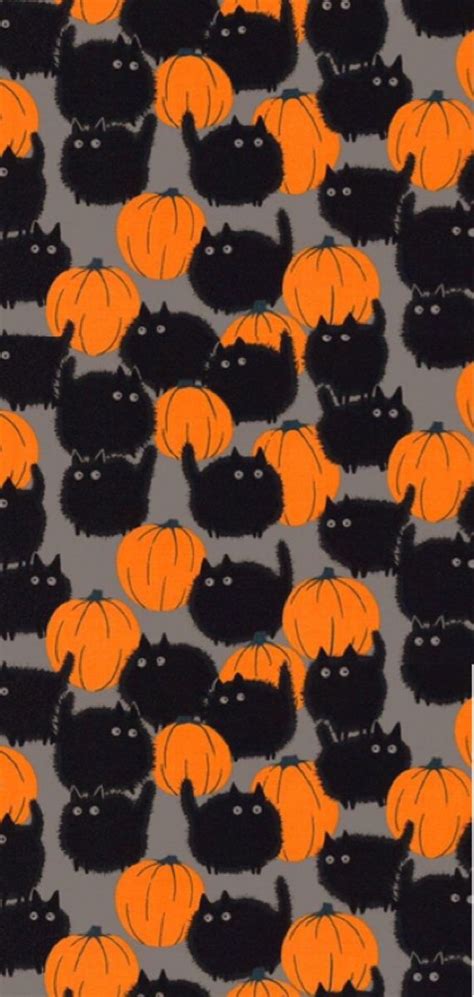 Black cat pumpkin walpaper in 2023 | Halloween wallpaper cute, Pumpkin ...