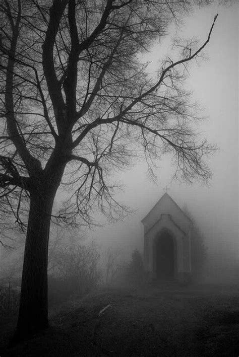 Pin by Cortney Strack on Spooky Boo | Dark fantasy, Dark photography, Mists