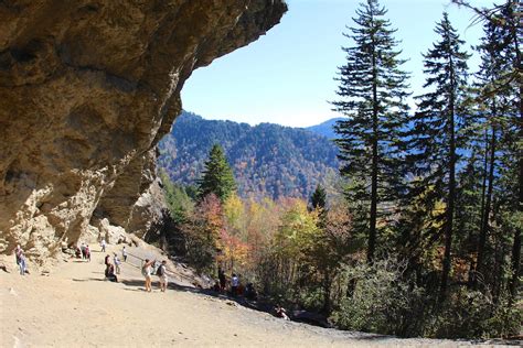 5 Smoky Mountain Hikes Families Will Love