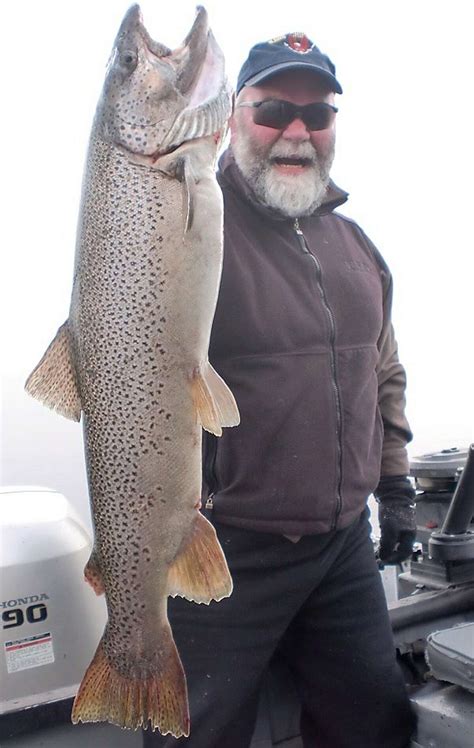 Huge brown trout pulled from Lake Tahoe